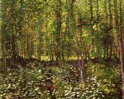 文森特 威廉 梵高 : 灌木